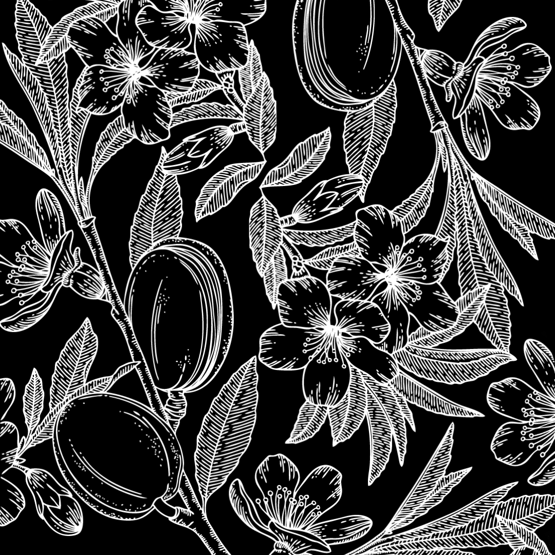 Illustration en noir et blanc d'amandes. Le style de l'illustration rappelle un mélange entre les anciennes illustrations botaniques et un tatouage.