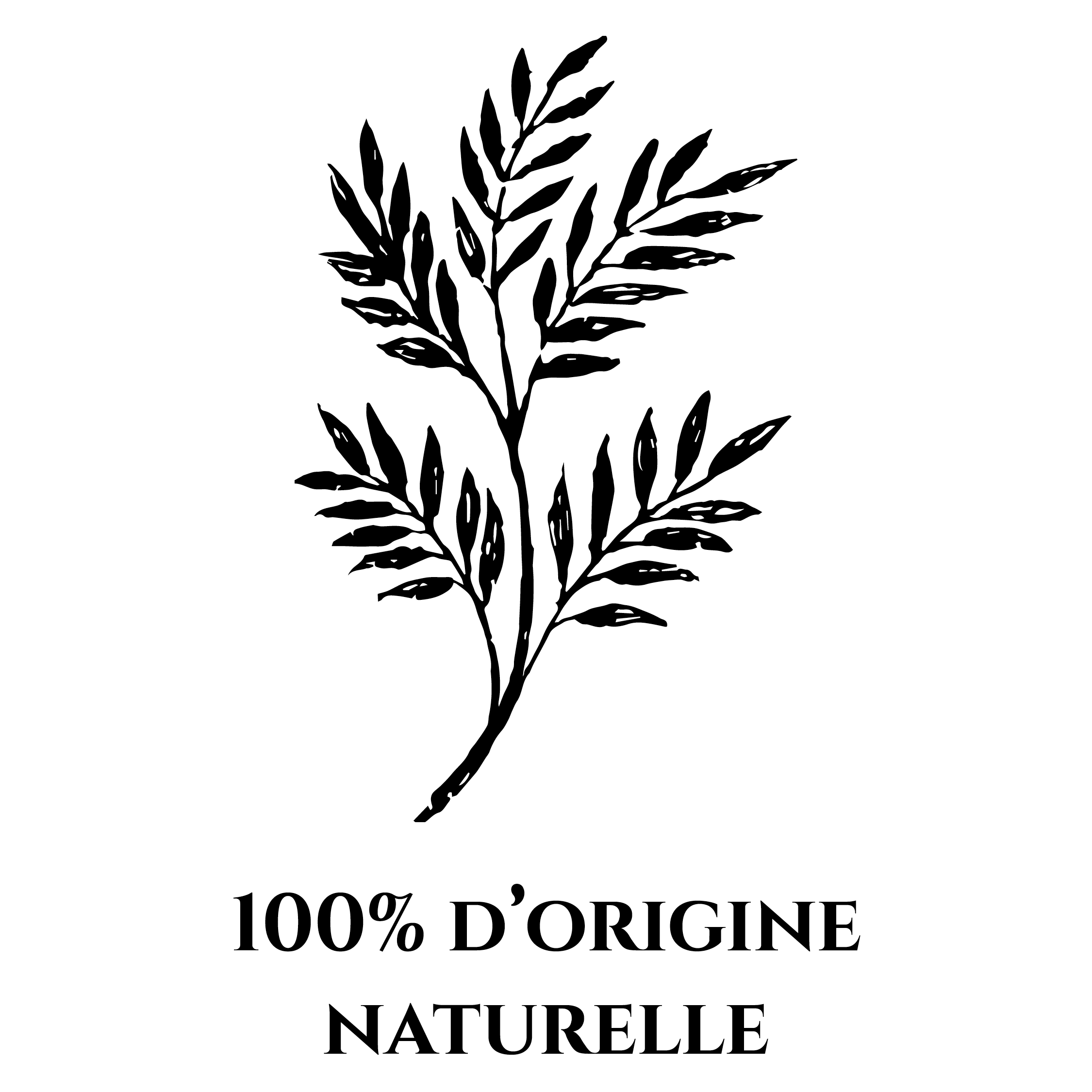 Icône représentant une plante pour symboliser le fait que les produits de la marque OPHÉO soient 100% d'origine naturelle.