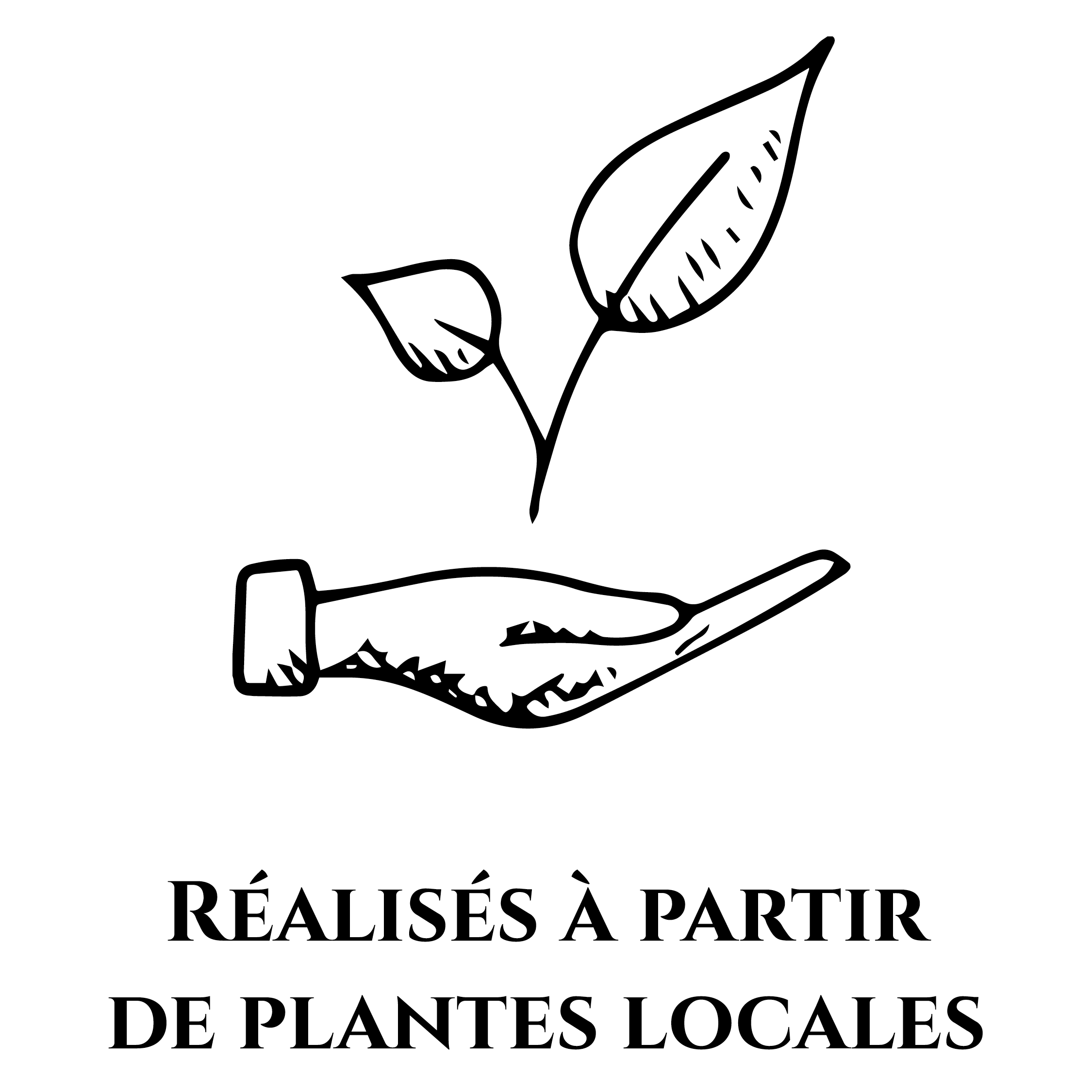 Icône représentant une main tenant une plante pour symboliser le fait que les produits OPHÉO sont réalisés à partir de plantes locales.
