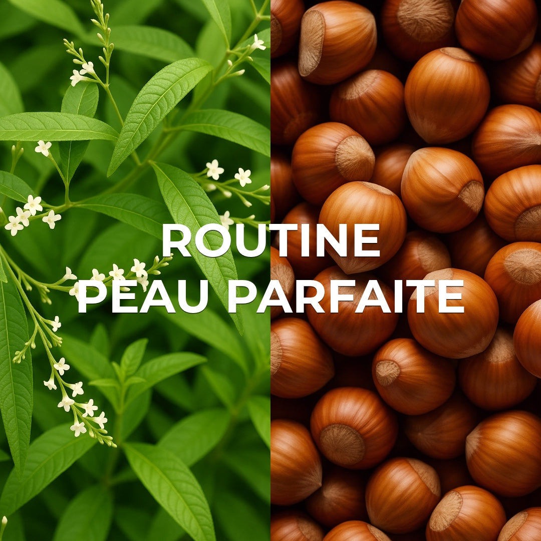 Routine Peau Parfaite